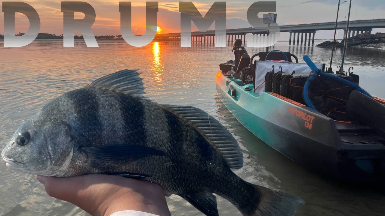 THIS DOCK WAS LOADED WITH DRUM-JACKSONVILLE FL