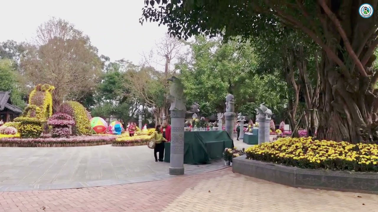 【学生的生活-放假快乐】Student Activities at Weekend Traveling to China