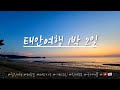 개미귀신 잡으러 태안 다녀왔습니다 | 태안여행 | 1박2일