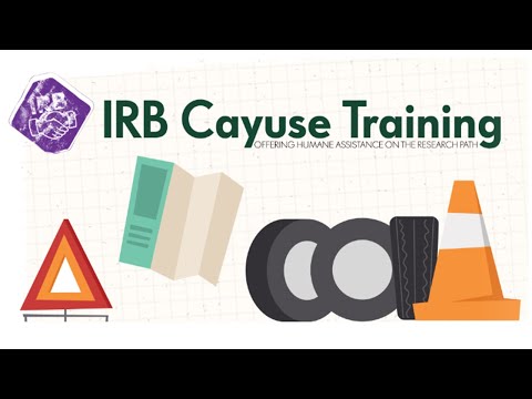 Institutional Review Board: Cayuse Training