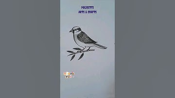 How to Draw Sparrow Bird Easy #shorts #ytshorts #youtubeshorts #shortvideo #trending #viral #pencil