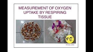 Measurement of oxygen uptake by respiring tissues- physiology experiment