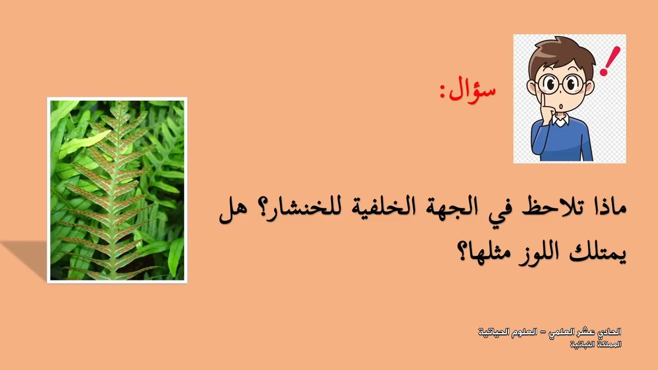 -2022-درس1 | المملكة النباتية | الصف11 علمي | الفصل2 | الأحياء