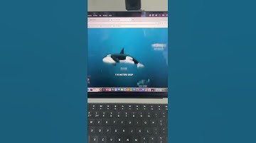 Useful websites for the classroom part 23! #Teacher #teach #teaching #education #teachersoftiktok #