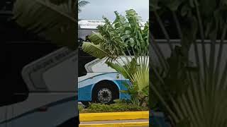 Some random bus at Sangster International Airport (Montego Bay, Jamaica ??)