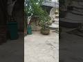 còn đường  giác ngộ