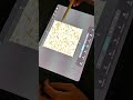 Using These FREE Procreate Brushes to Level Up My Fashion Mockups