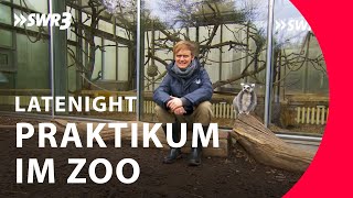Praktikant Pierre im Zoo | Pierre M. Krause