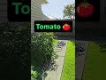 In New Zealand, the backyard is the new supermarket 🎃#fyp #christchurch #newzealand #india#usa#viral