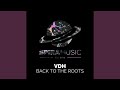 Back To The Roots (Original Mix)