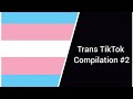 Trans Tik Toks #2