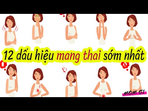 Video: Ý tưởng làm đẹp cho Shih-Poo