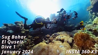 Sug Bohar - El Quseir - nurkowanie 1 - styczeń 2024 - INSTA 360 X3