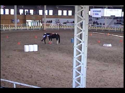Parelli Horse Training Instructor Kristi Smith at ...