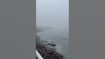 Thumbnail of Sound of Foghorn