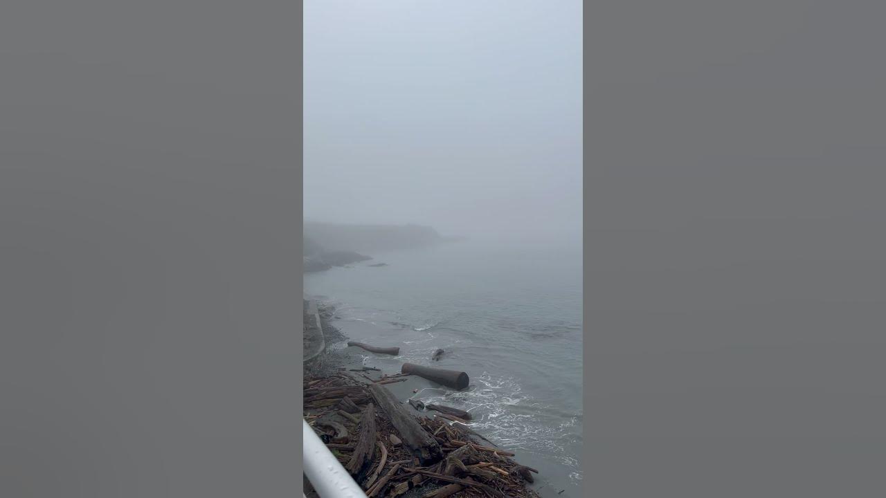 Sound of Foghorn