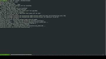 Actual footage of a Linux user installing a Web browser #shorts