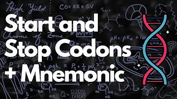 Start and Stop Codons in 1 Minute + Stop Codon Mnemonic | MCAT