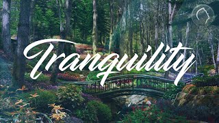 Quiet Moments: Tranquility • Pastor Apollo C. Quiboloy