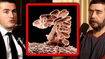 The weirdest idea in science | Michael Levin and Lex Fridman