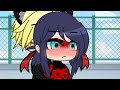 Stupid cat  mlb  ladynoir  gacha club