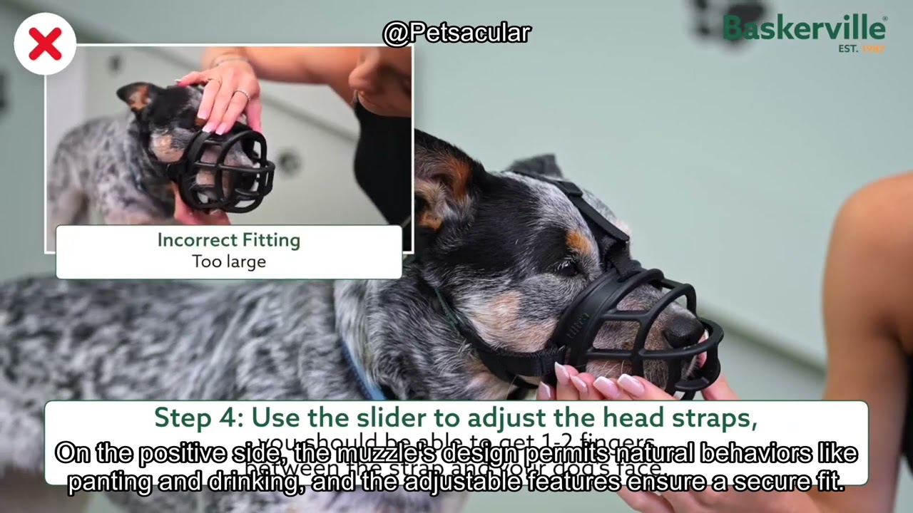 Baskerville Ultra Muzzle Review: Is It the Best Solution for Dog Training & Safety?