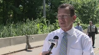 Delay in roll out of driver's licenses for illegal immigrants