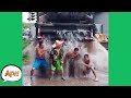 They Got a TRUCK FULL of FAIL! 😅 | Funny Fails | AFV 2020