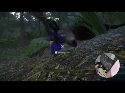 Double Kill! Red Deer & Axis Deer Hunt | theHunter: Call of the Wild | Avesta Ch