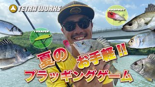 [ライトゲーム]夏のお手軽!! プラッギングゲーム