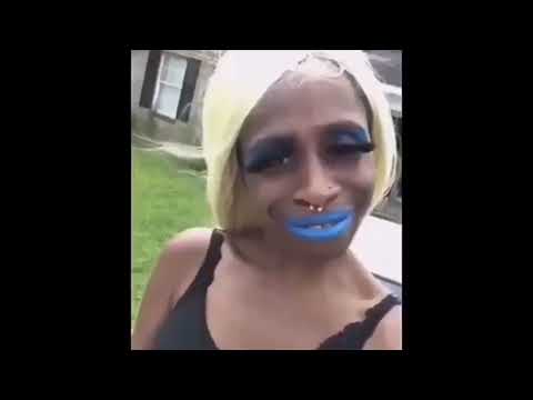 don pollo shitpost #8