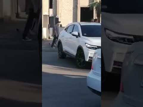 صادم لبوة تتجول في شوارع العاصمة دمشق 