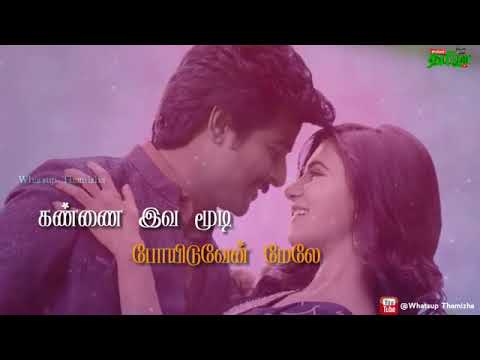Seemaraja Love Lyric WhatsApp Status