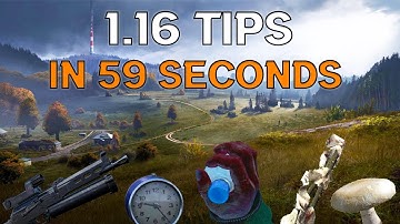 5 New DayZ 1.16 Update Tips in 59 Seconds!