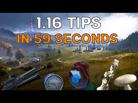 5 New DayZ