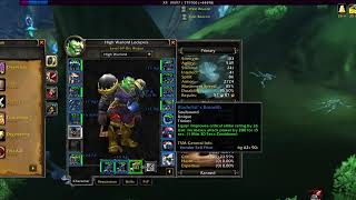 69 Rogue Gear and Spec in TBC Classic