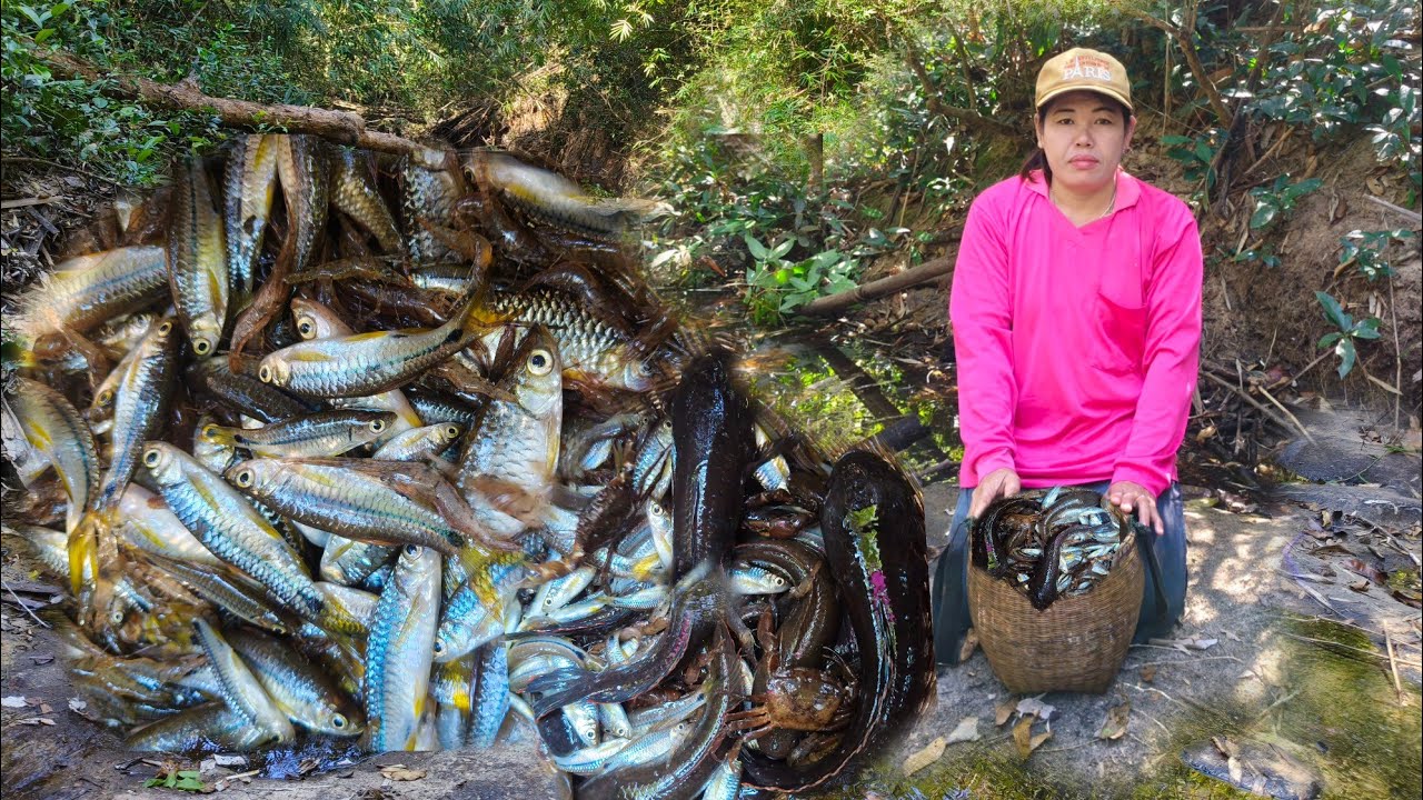 ใส่ตุ้มค้างคืนหมายเก่าหมายเดิมหมานปลาค่อกั้งและปู 31 ม.ค 69