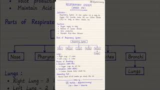 Respiratory System in 15 Seconds | Nursing Notes