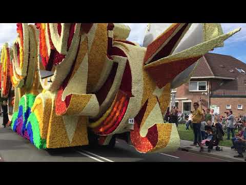 Bloemencorso Lichtenvoorde 2018, Groep Rensing - Paradijsvogels