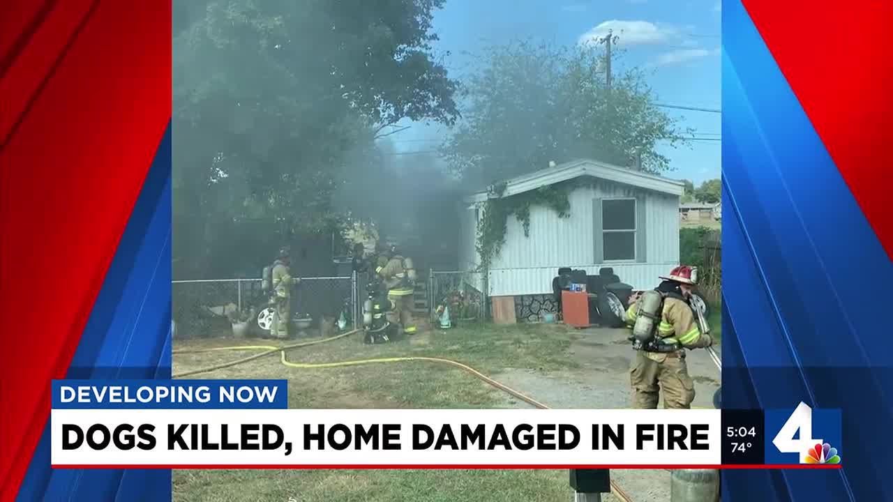 Dogs killed, home damaged in fire YouTube