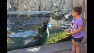 Aquarium of the Pacific Discount Tickets