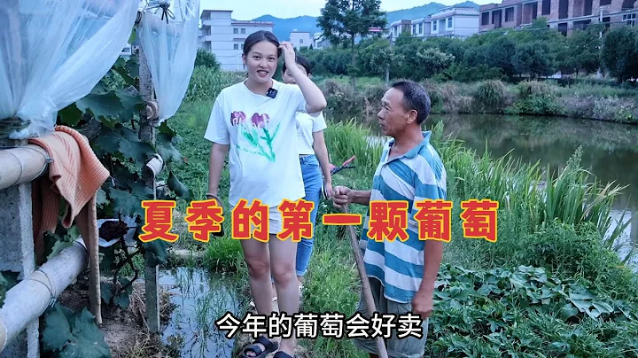 外地媳婦一回到湖南，就被乾媽叫過去吃葡萄，被惦記的感覺真好 - 天天要聞