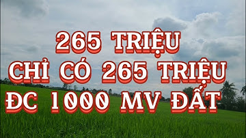 ❤️ ĐÃ BÁN ❤️ẤP AN NINH. XÃ VĨNH HỰU.  GCT.TG.  265 TRIỆU  1000 MV . 0359616969