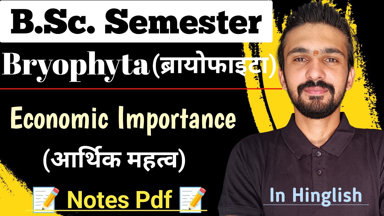 Bryophyta Economic Importance || Economic Importance Of Bryophyta || Bsc Semester || By Dadhich Sir