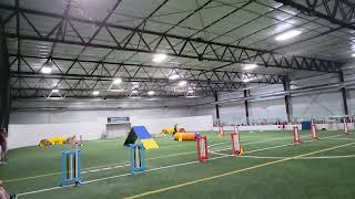 Raven-Jackpot cpe agility L5(May 30)