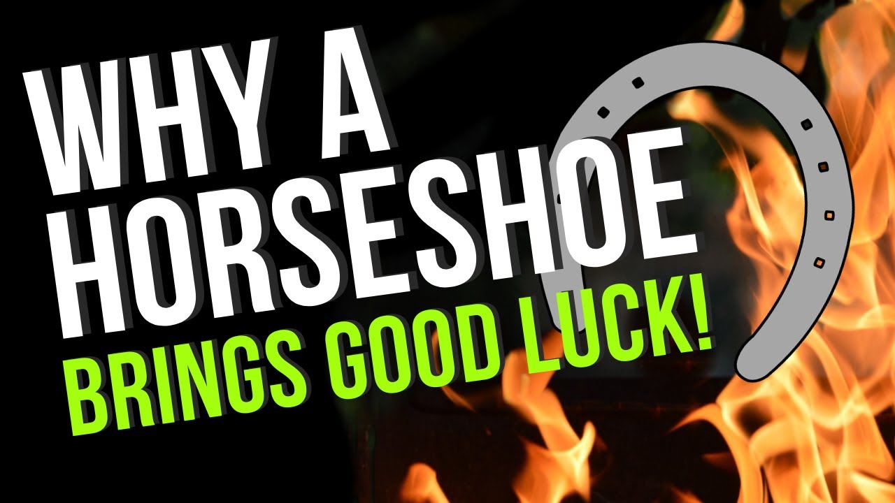 Why a Horseshoe Brings Luck Beliefs and History YouTube