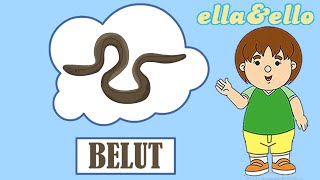 Mengenal Belut | Puri Animation