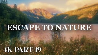 Coldwater Lake Nature Relaxation 4K | Soft Ambient Music + Birds & Water ASMR (Mt St Helens) - Ep 19 screenshot 2
