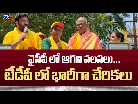 Huge Joinings In TDP Party In The Presance Of Tangirala Sowmya | Chandrababu | TV5 News - TV5NEWS