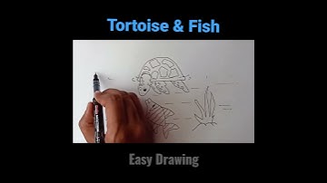 Easy Tortoise & Fish Drawing l 🔸Short video🔸